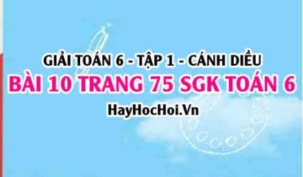 Giải bài 10 trang 75 Toán 6 Tập 1 SGK Cánh Diều